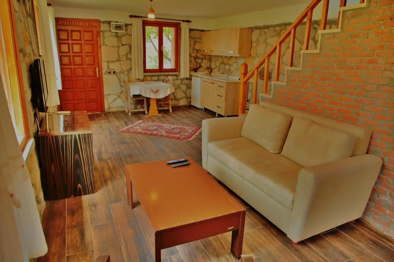 Pensiune agroturistice The Mira House Villa Ayvalı