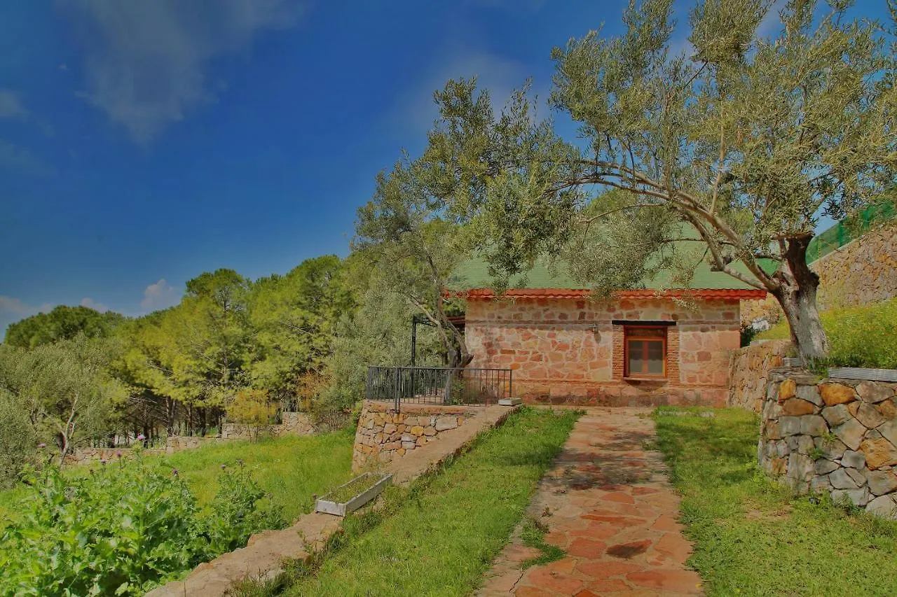 The Mira House Villa Ayvalı 0*,